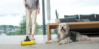 KB 5 Hund