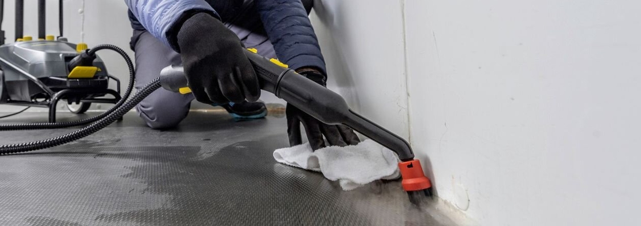 ontsmetting met stoomreiniger Persoon ontsmet en maakt ruimte schoon met stoomreiniger