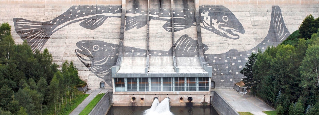 Het enorme reverse-graffiti kunstwerk 'Fisch-Reich' van Klaus Dauven op de 300 meter brede damwand Totaaloverzicht van het kunstwerk Fisch-Reich met twee forellen op de stuwwand van het stuwmeer Eibenstock, gemaakt met Kärcher-hogedrukreinigers.