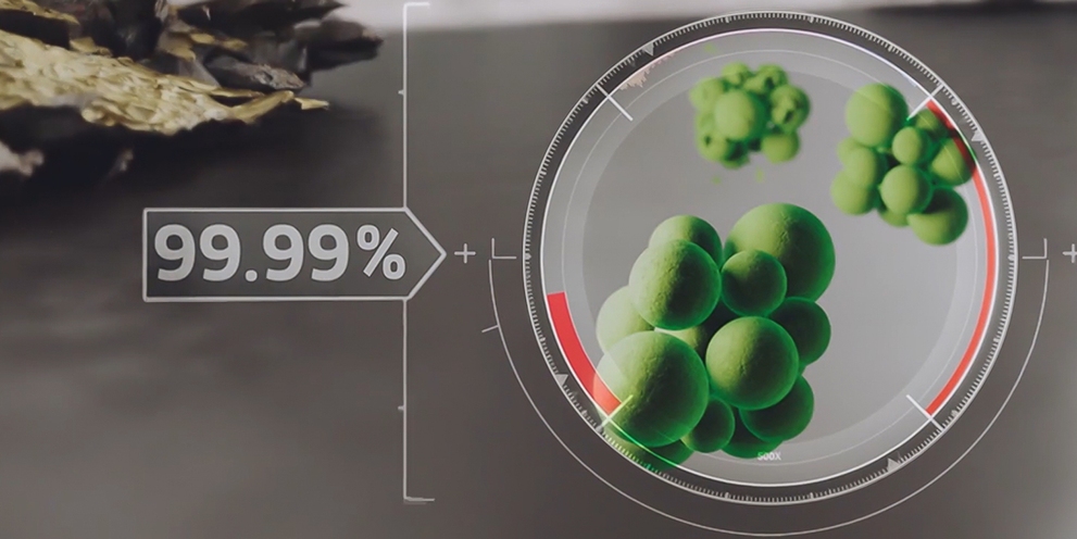 Hygiënische reiniging van de beste professionele stoomreiniger en vermindering van bacteriën Hygiënische reiniging van de beste professionele stoomreiniger en vermindering van bacteriën