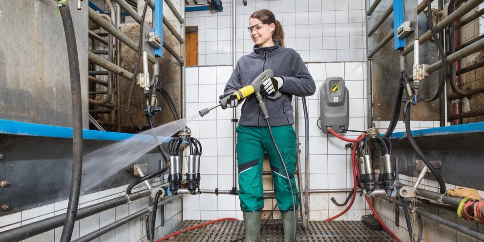 Reinigen van koeienstal en melkinstallatie