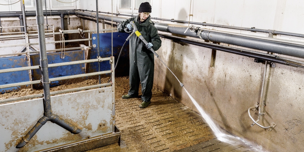 Met Kärcher hogedruk reiniger wordt een varkansstal gereinigd