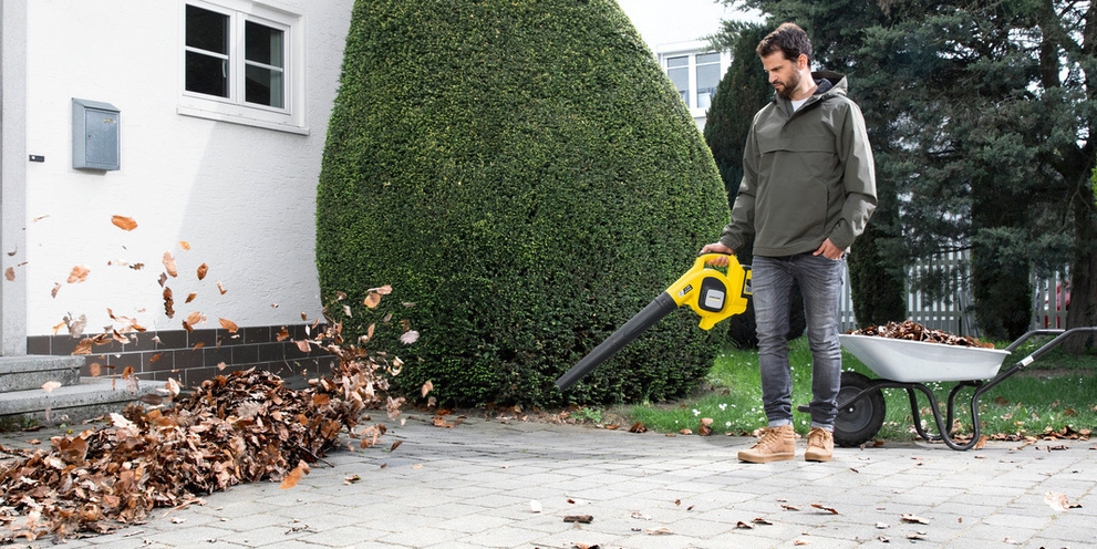 5 tips voor het verwijderen van dode bladeren