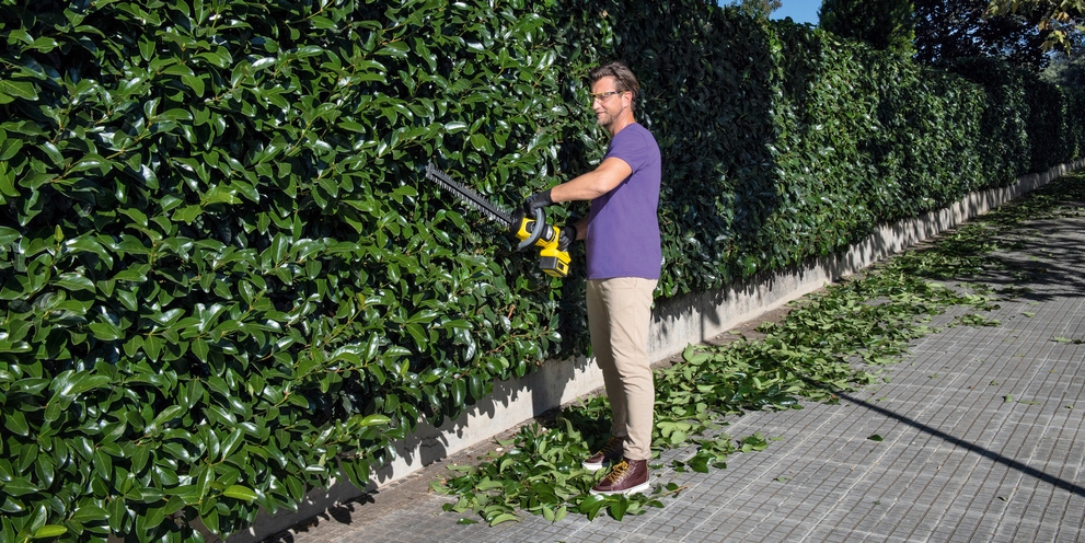 Heggen snoeien met de tips van Kärcher