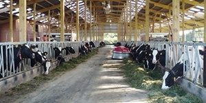 Landbouw
