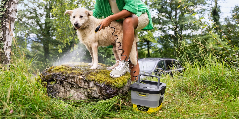 OC 4 voor een hond OC 4 voor een hond