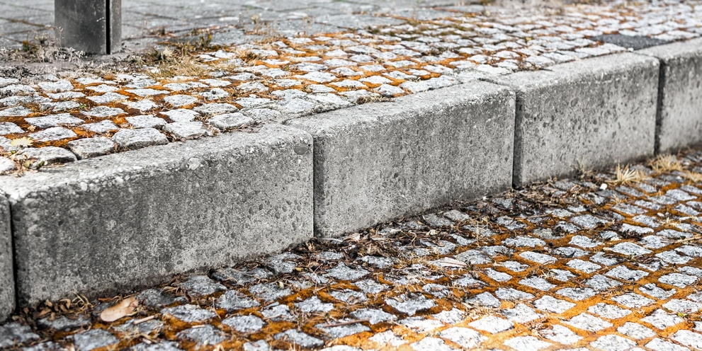 Onkruidbestrijding na, paardenbloem Onkruidbestrijding na, paardenbloem