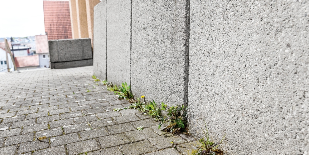 Onkruidbestrijding voor, muur Onkruidbestrijding voor, muur