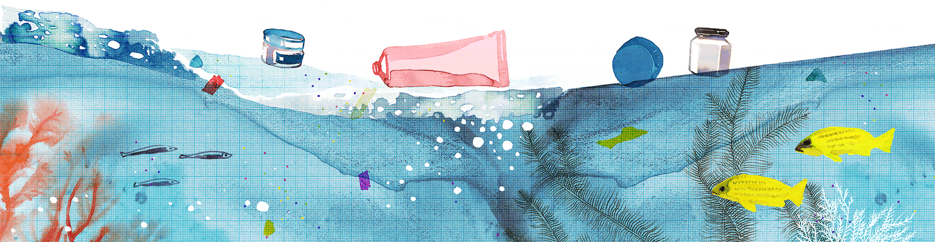 Animation_microplastics