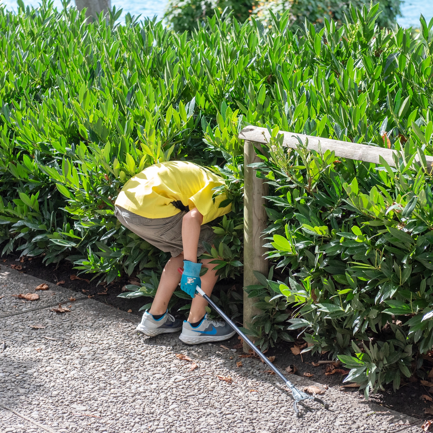 230919_cleanup_11 230919_cleanup_11