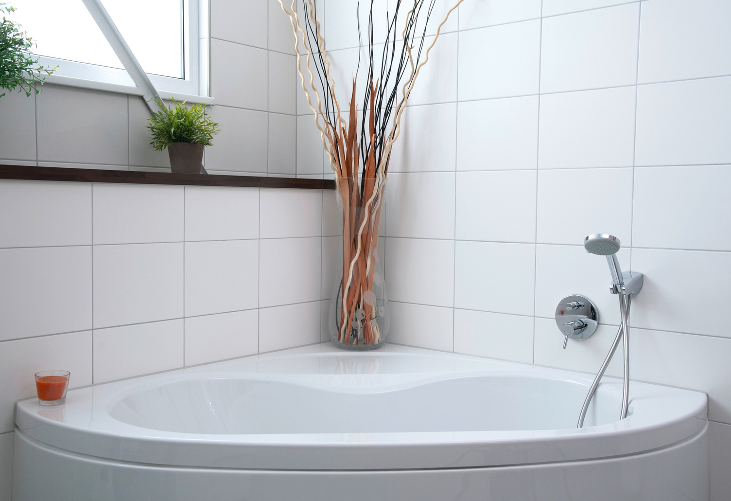 Baignoires Nettoyage de la baignoire avec les conseils de Kärcher