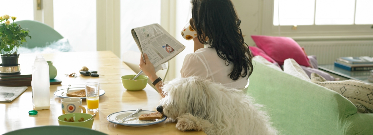 Conseils de nettoyage pour les propriétaires d'animaux Conseils de nettoyage de Kärcher pour les propriétaires d'animaux