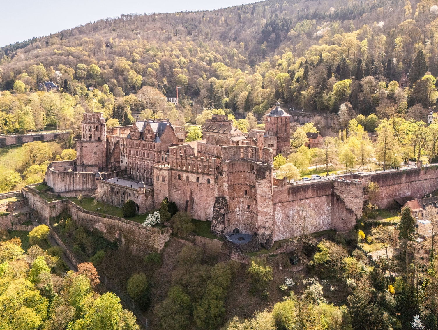 Schloss Heidelberg Schloss Heidelberg