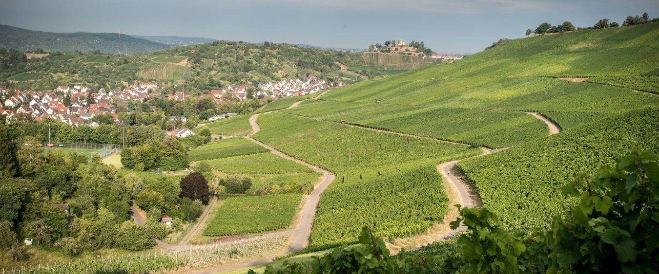 Weinberge Weinberge