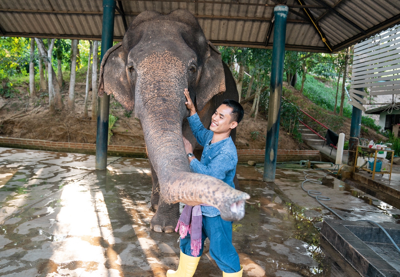 Thailand – Heimat der Elefanten