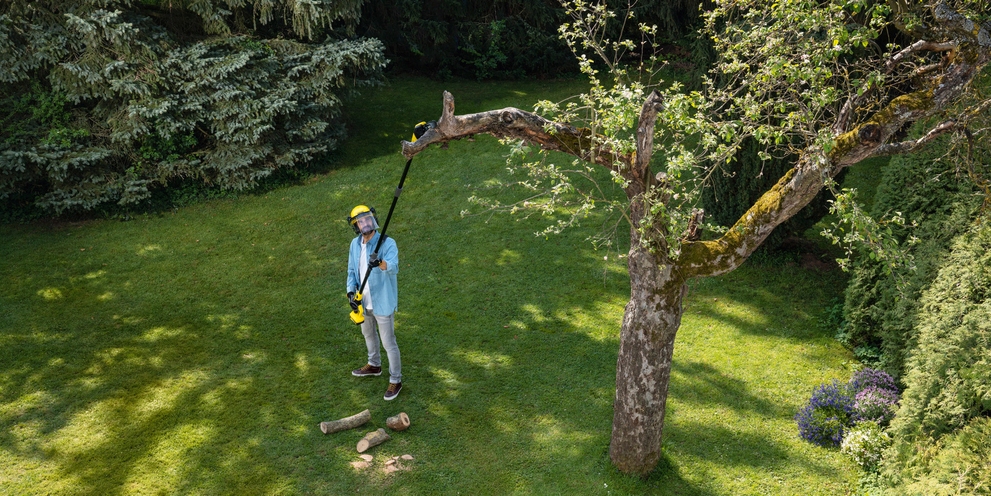 Travail dans de grands arbres à l’aide d’un coupe-branches sans fil Coupe-branches sans fil Kärcher pour le travail dans de grands arbres