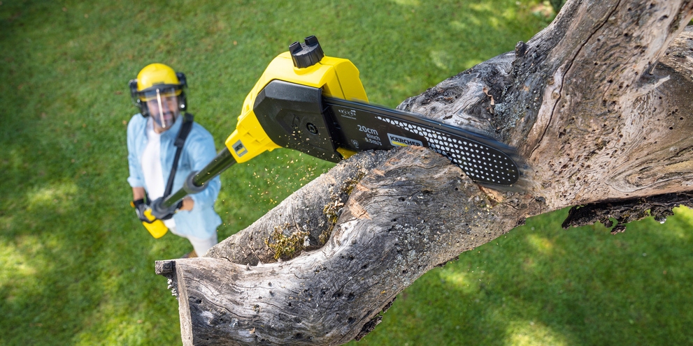 Conseils de Kärcher: Taille des arbres