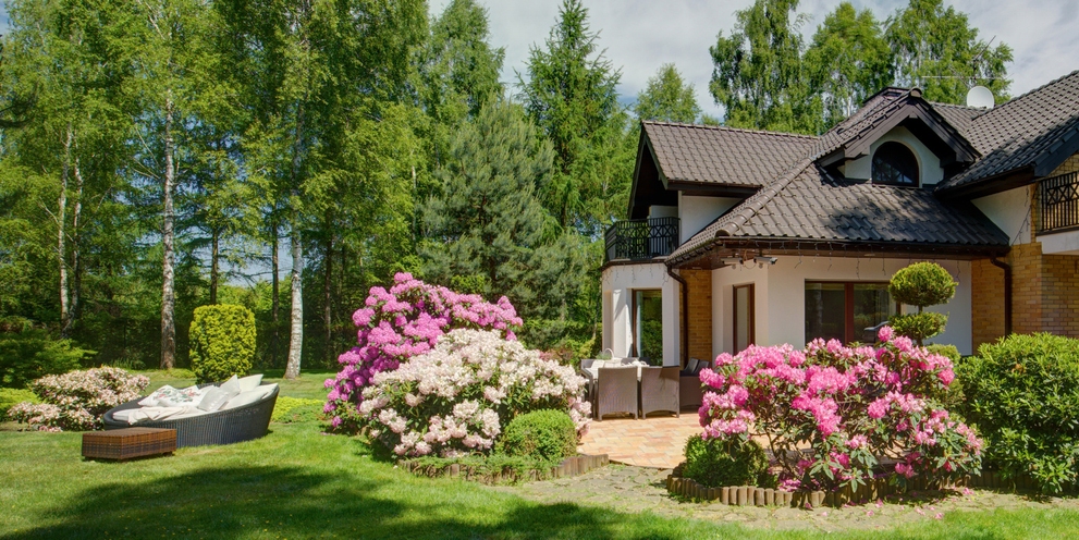 Expertentipps für einen gepflegten Garten Expertentipps für einen gepflegten Garten