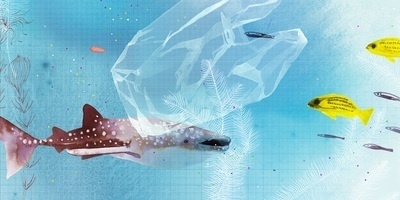 Sauberes Wasser ist Leben Sauberes Wasser ist Leben