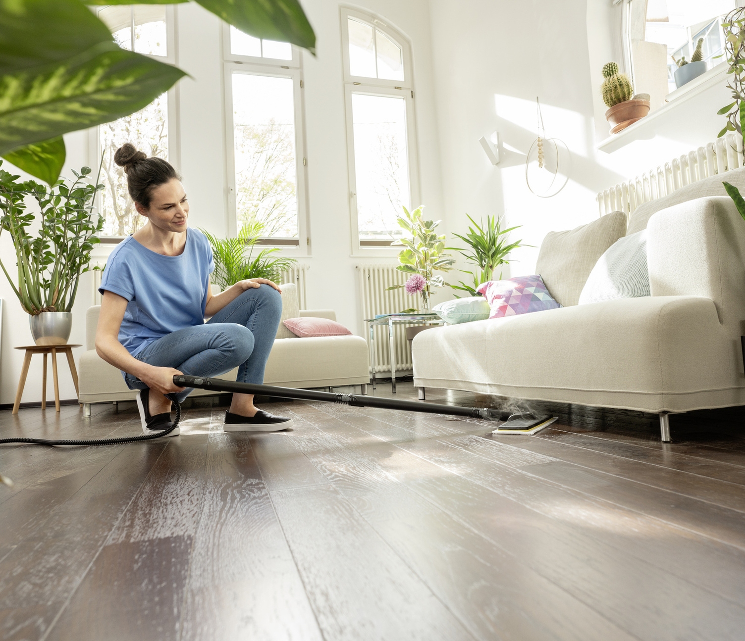 Tackling bedbugs with steam cleaners