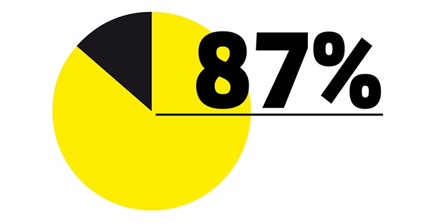 Diagramm mit 87 %