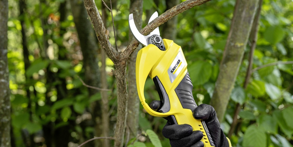 Woman cutting branch with the Battery tree lopper
