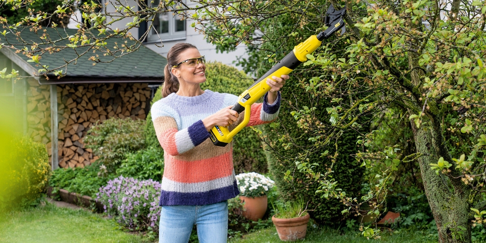 Kärcher Tipps: Baum schneiden