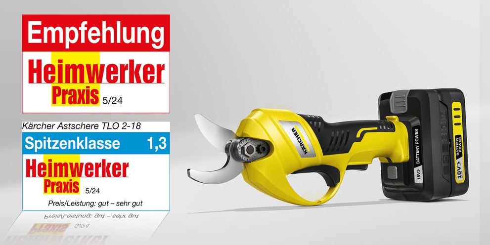 Akku-Astschere TLO 2-18