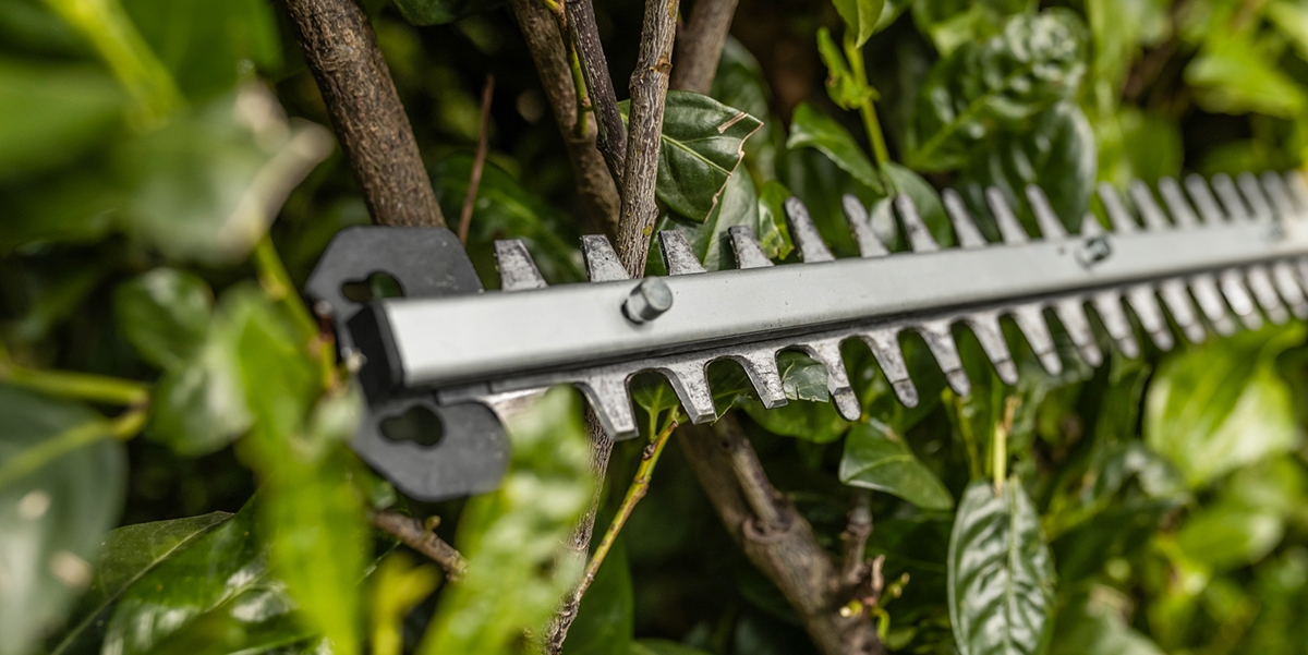 Sawing a branche with the Kärcher battery pole hedge trimmer