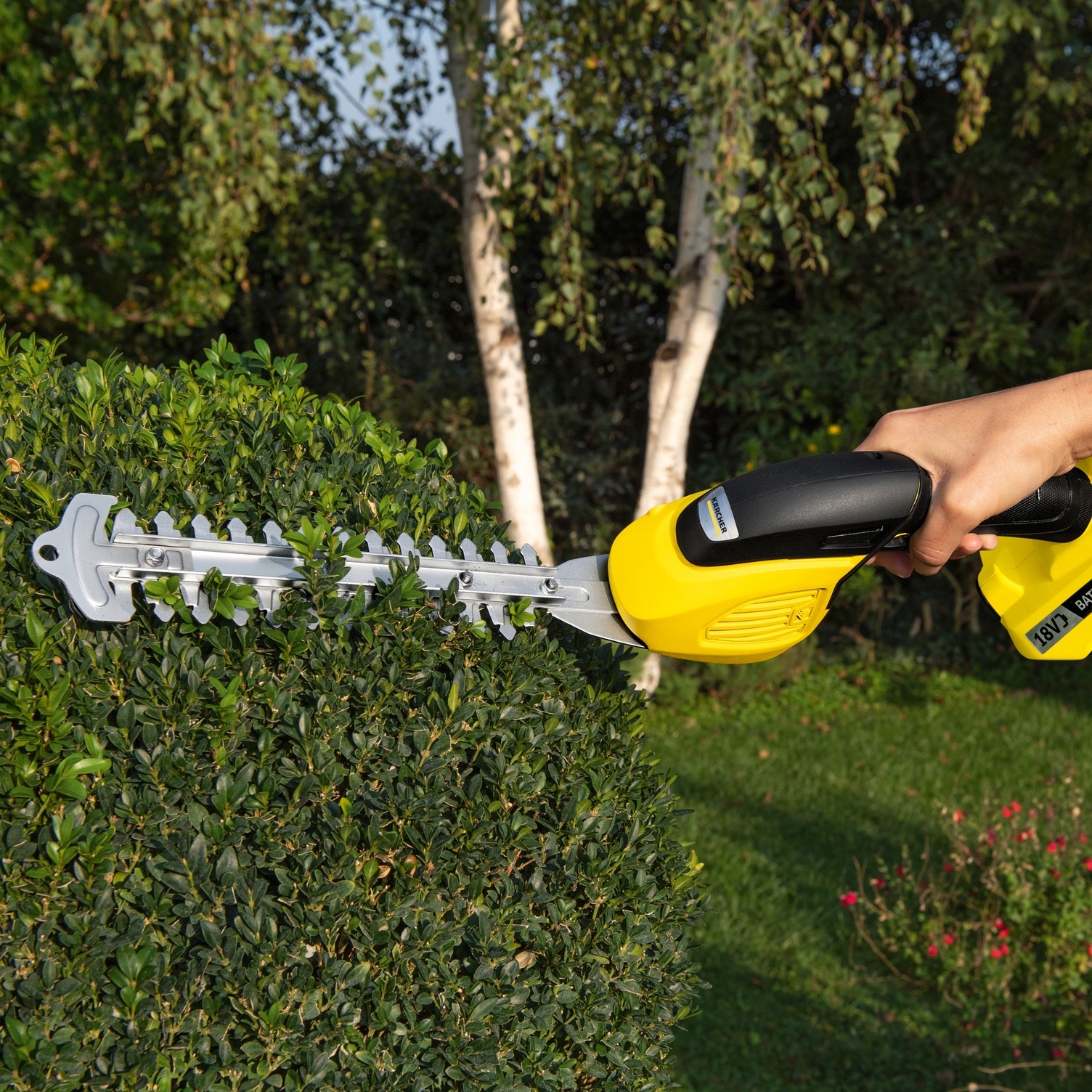 Clean cutting with the grass and shrub shear