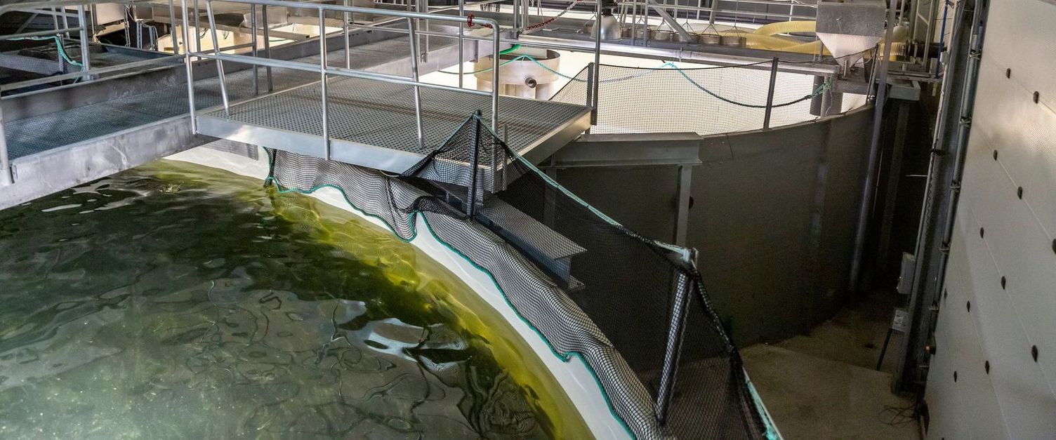 Cleaning in aquafarming Cleaning in aquafarming