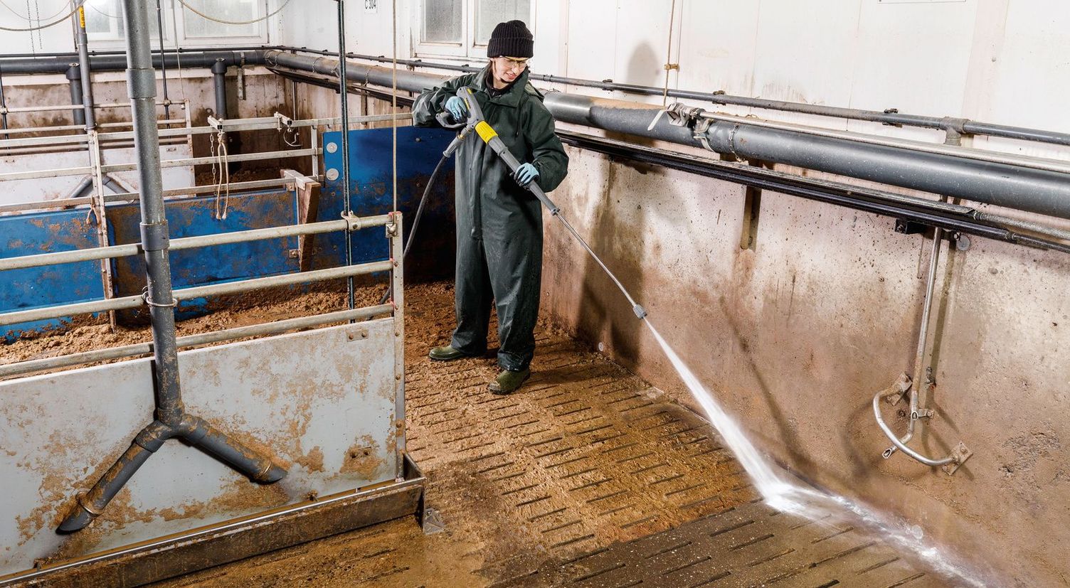 The right cleaning cycle for pigsty cleaning and disinfection