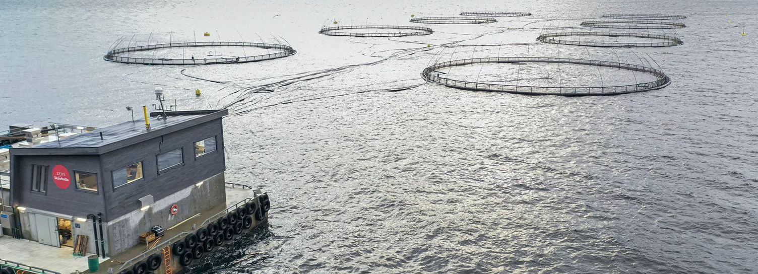 Marine net enclosures Net enclosures in the sea