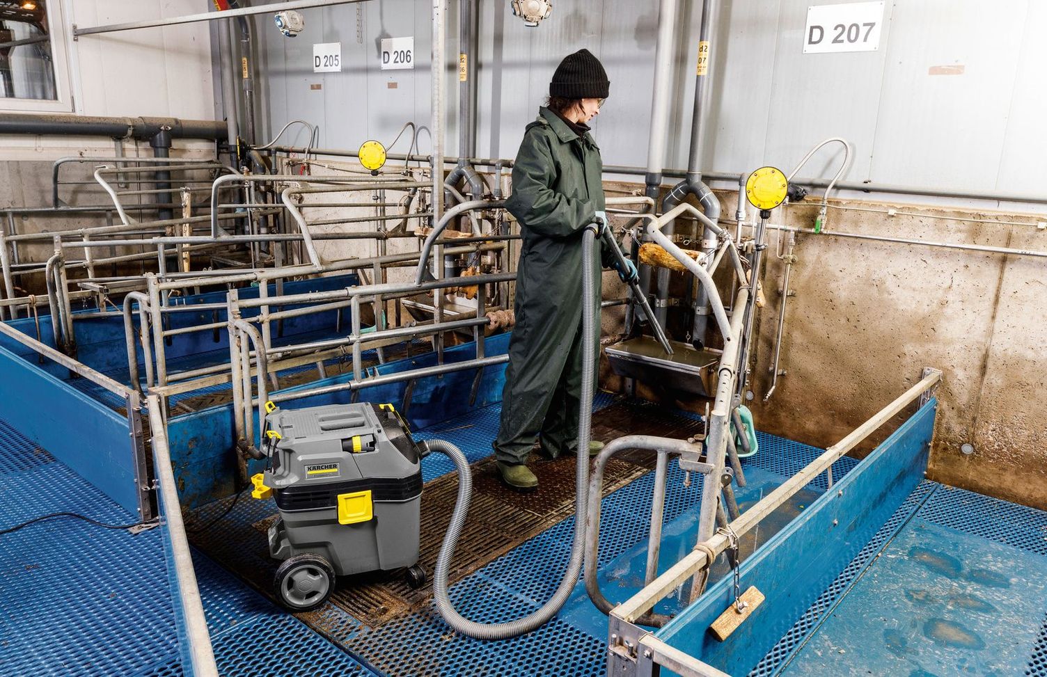 Cleaning in the pigsty