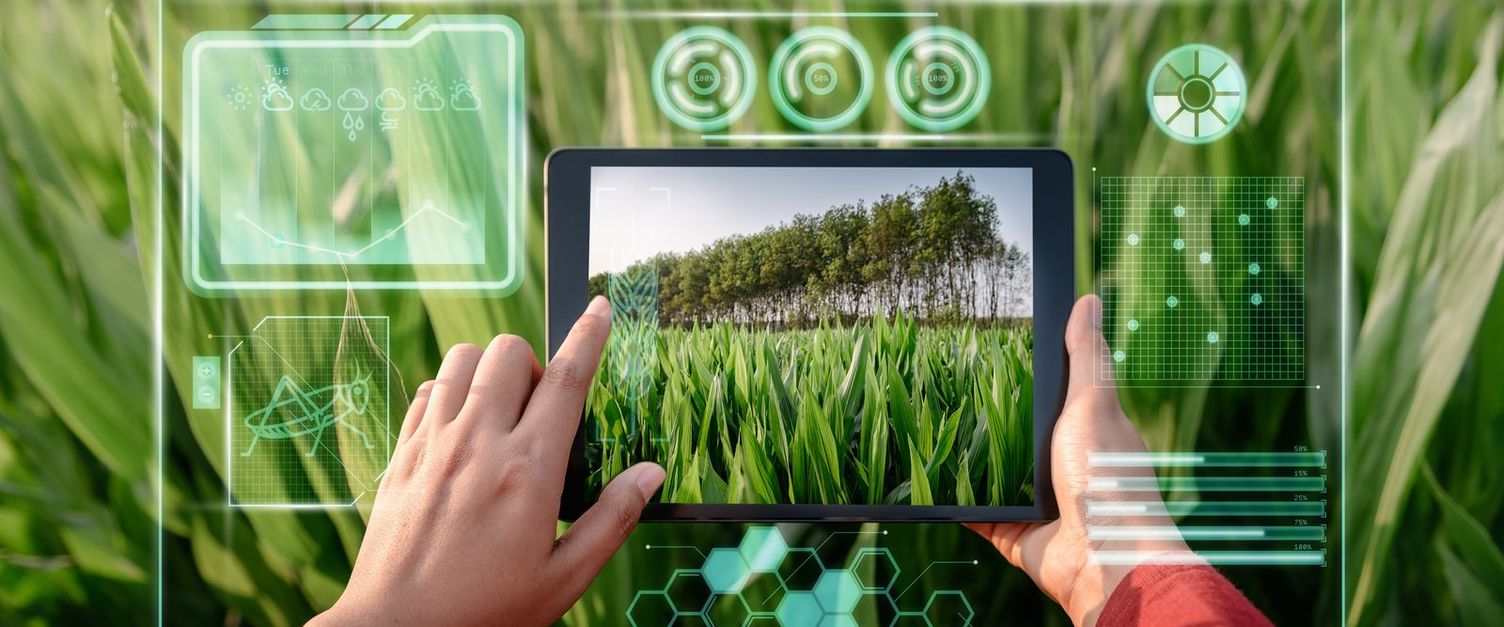 hands with a tablet in front of green leaves and trees