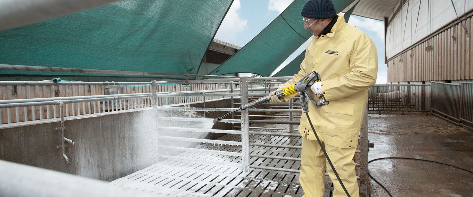Cleaning helps prevent foot and mouth disease Cleaning helps prevent foot and mouth disease