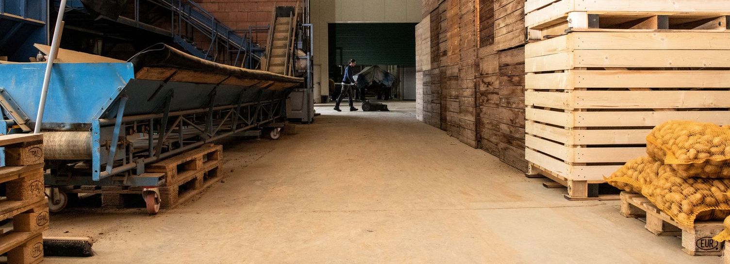 Agricultural warehouse cleaning: Vegetables