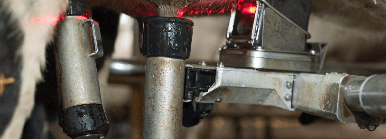 Robotic milking