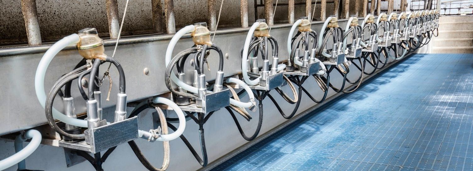 Milking parlour