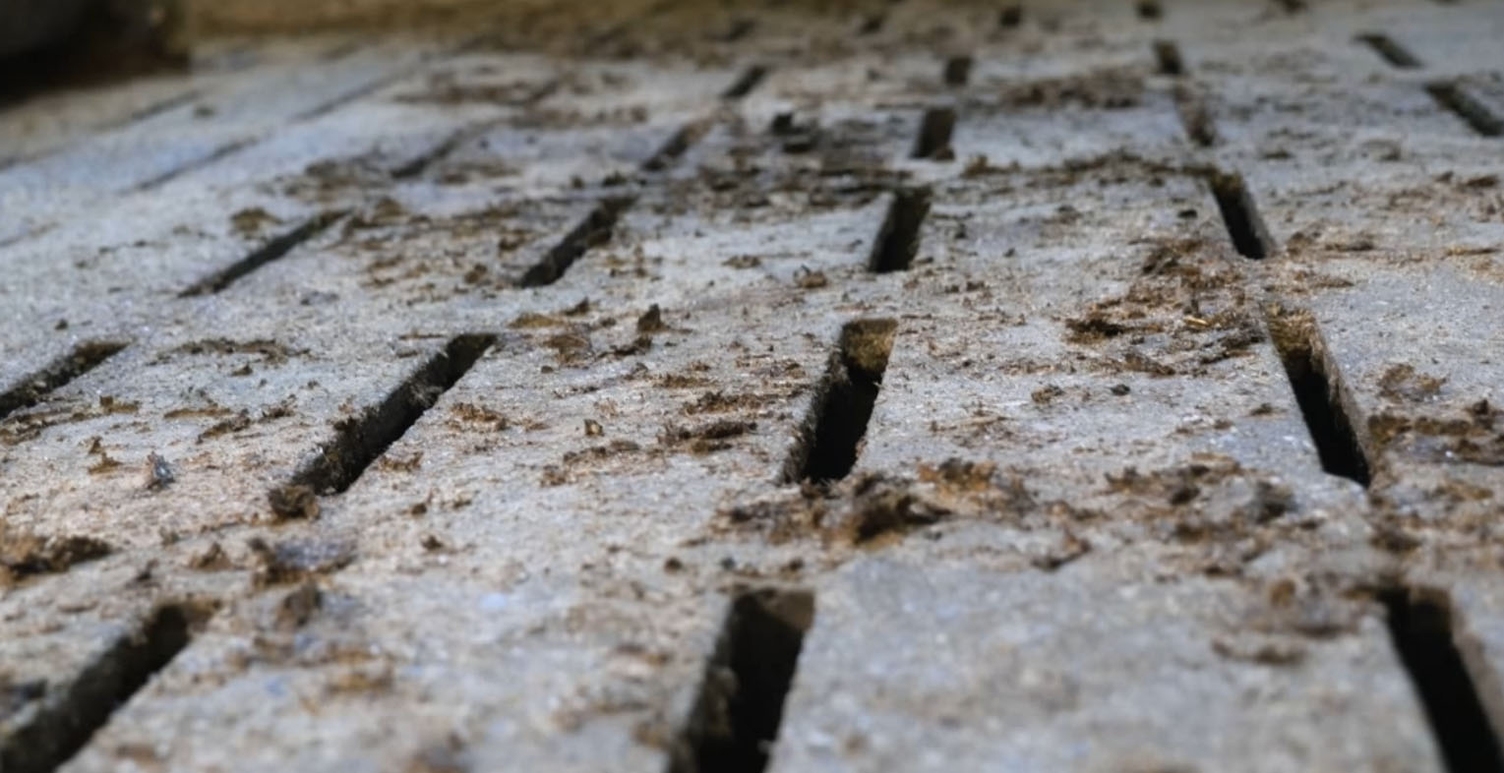 Preparing for pigsty cleaning and disinfection