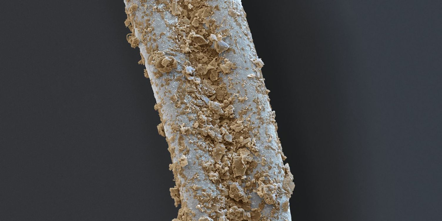 dirty carpet fibre dirty carpet fibre
