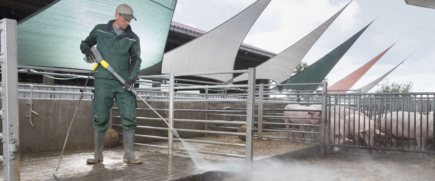 Pigsty cleaning and disinfection
