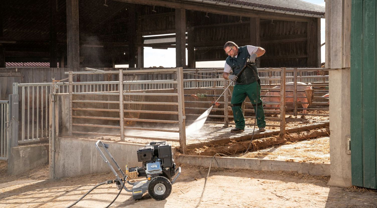 Pigsty cleaning