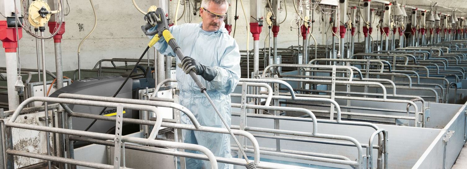 Pigsty cleaning and disinfection with a hot-water high pressure cleaner