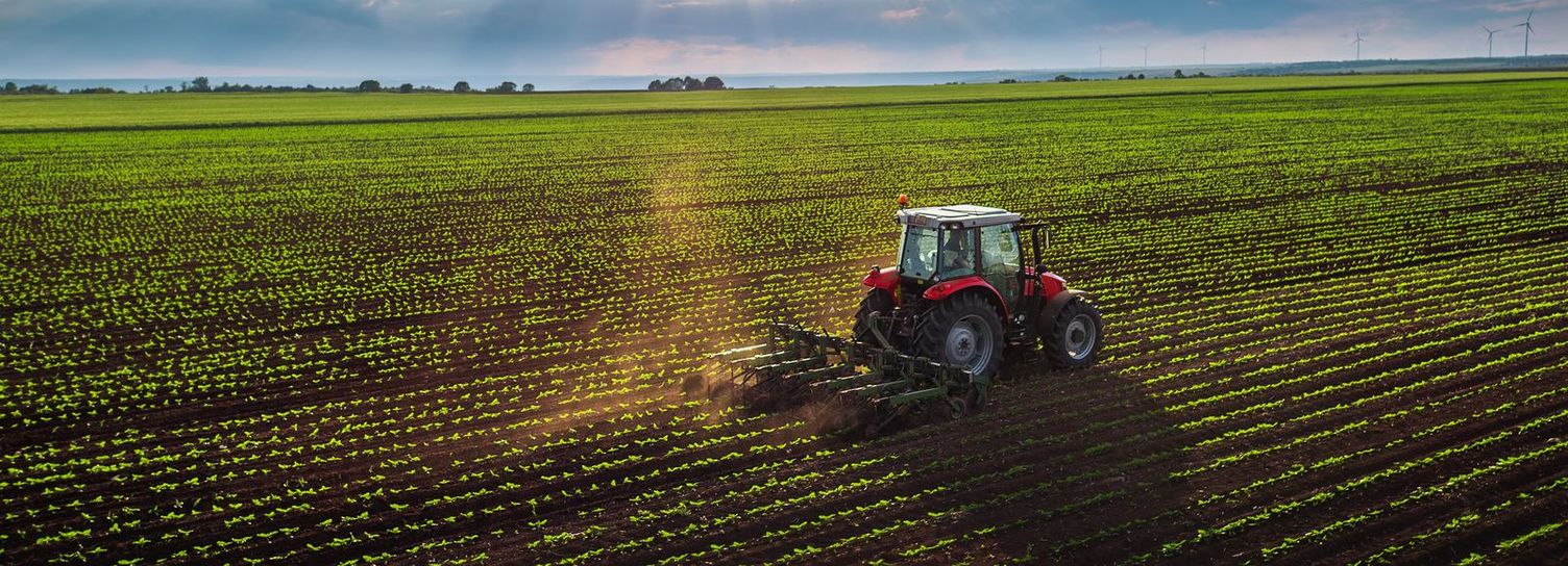 Cleaning in fruit and vegetable cultivation