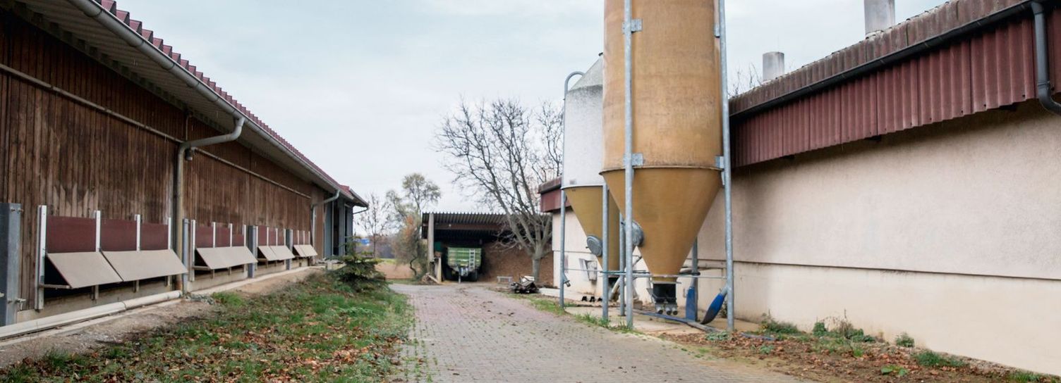 Clean poultry housing environment Clean poultry housing environment