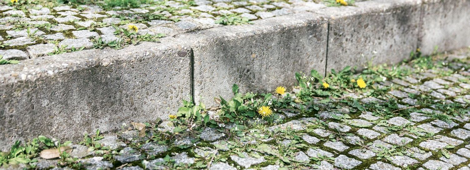 Weeds