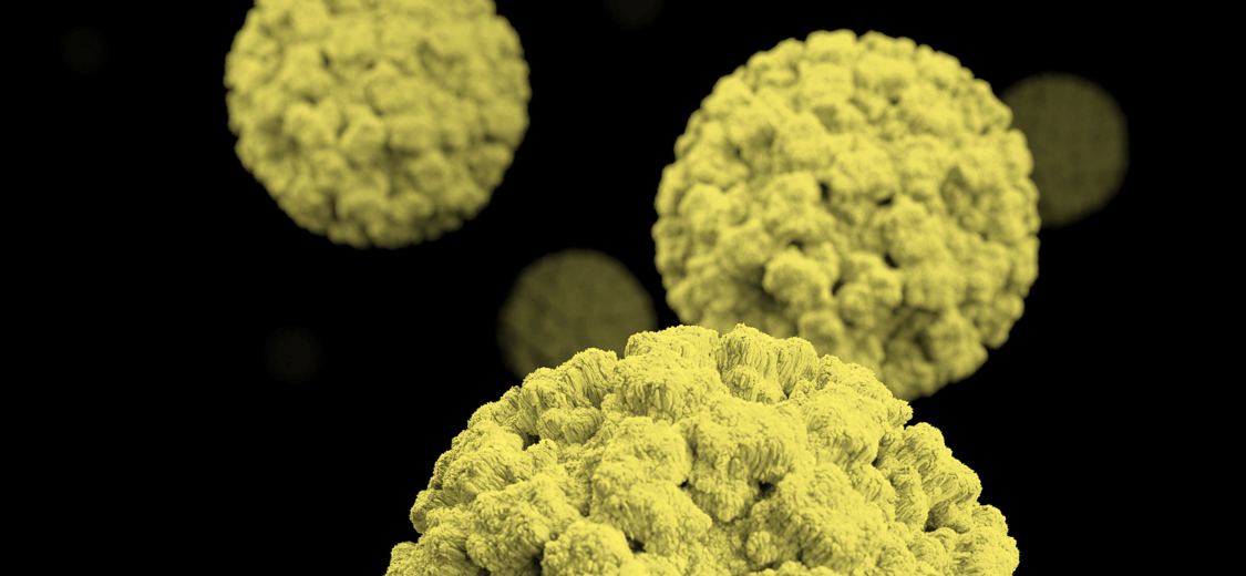 Viruses
