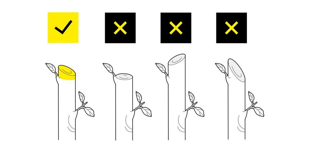 Kärcher tips for shaping