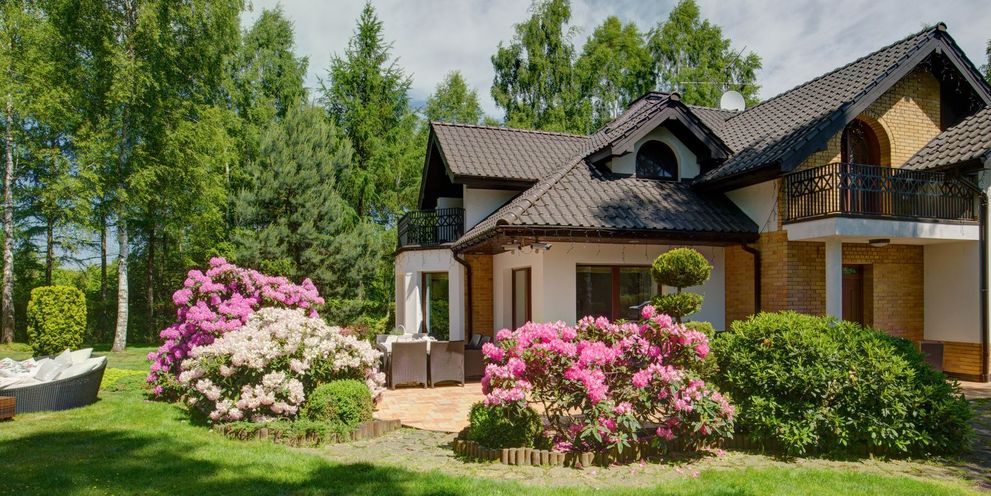 Garden care Kärcher: garden care tips